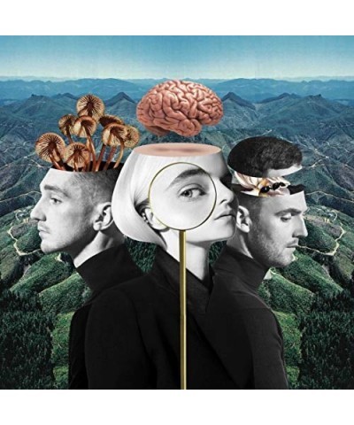 Clean Bandit WHAT IS LOVE Vinyl Record $9.01 Vinyl