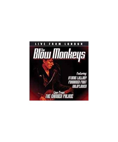 The Blow Monkeys DVD - Live From London $14.17 Videos