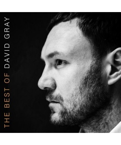 David Gray Best Of David Gray Vinyl Record $8.50 Vinyl